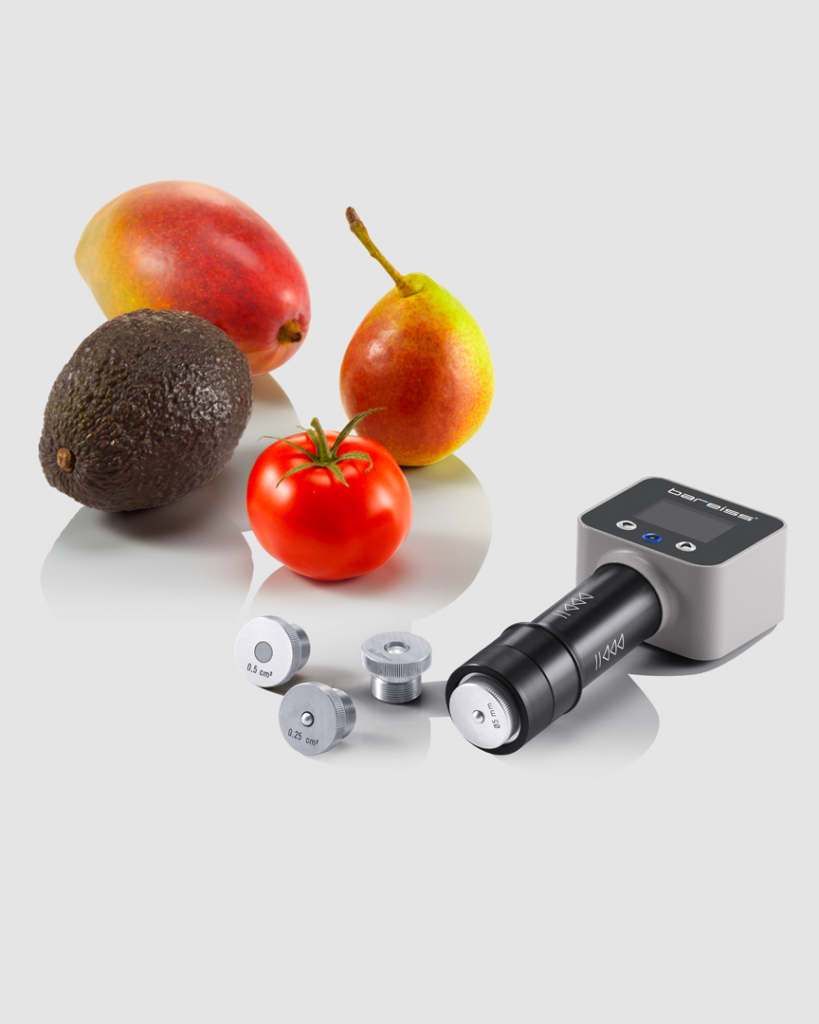 Digital handheld hardness tester HPE III Basic Fff and indenters with fruits